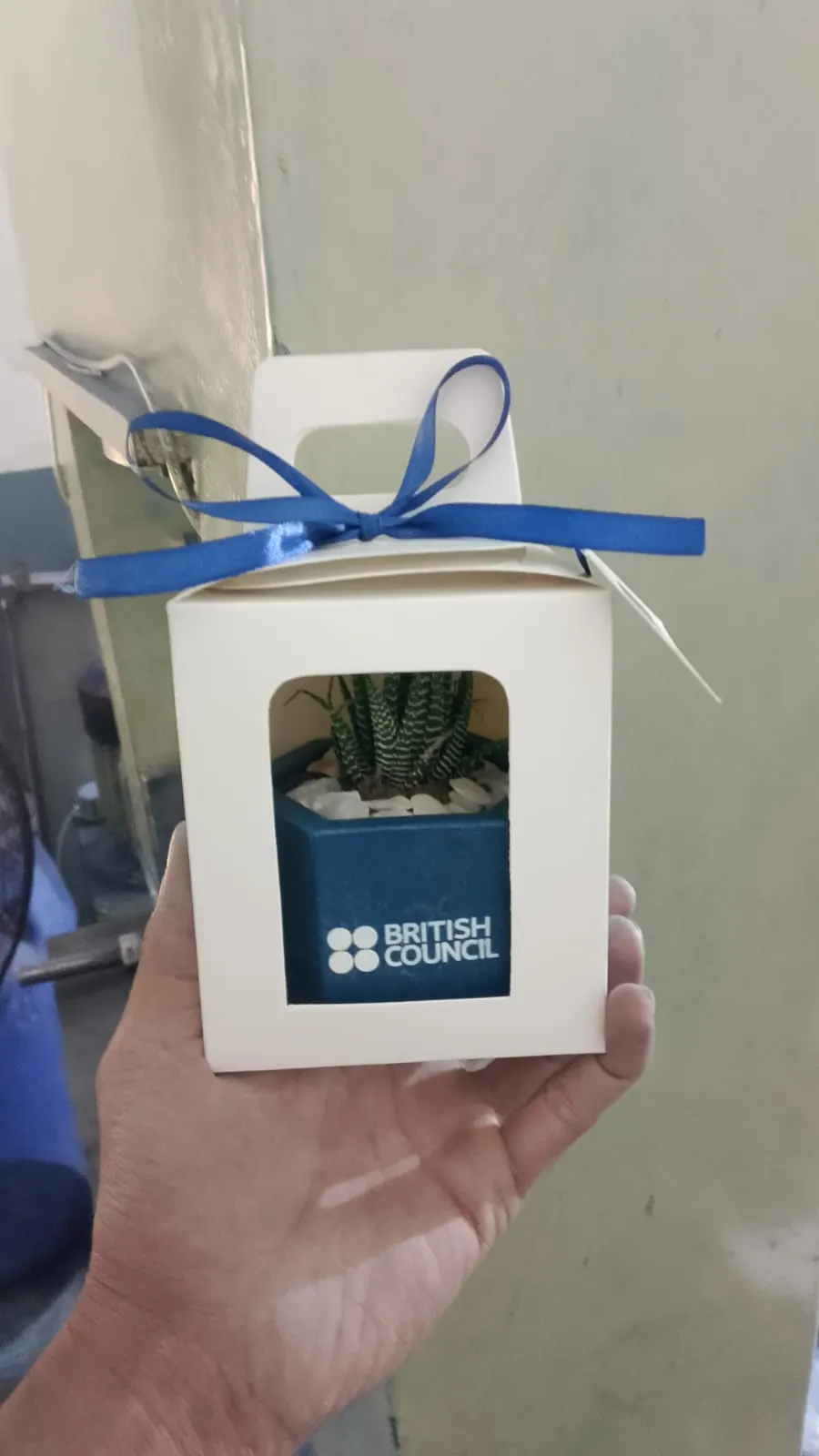 EcoPot - Small, photo 4