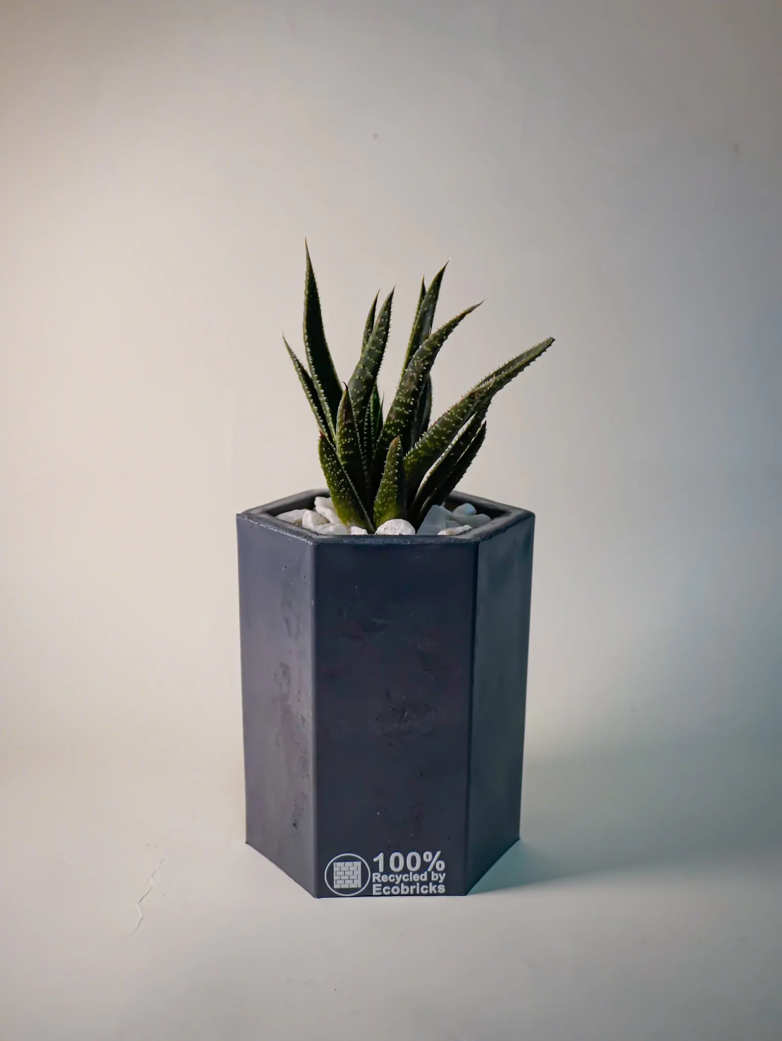 EcoPot - Large