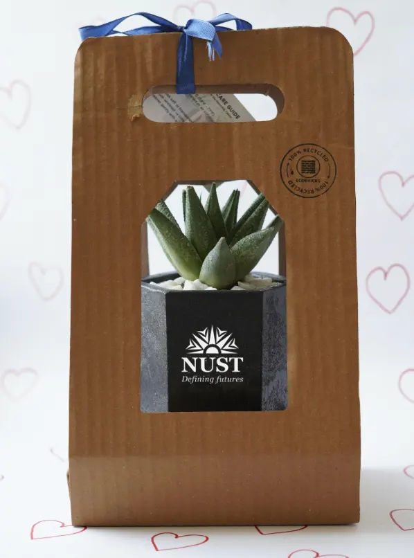 EcoPot - Large, photo 5